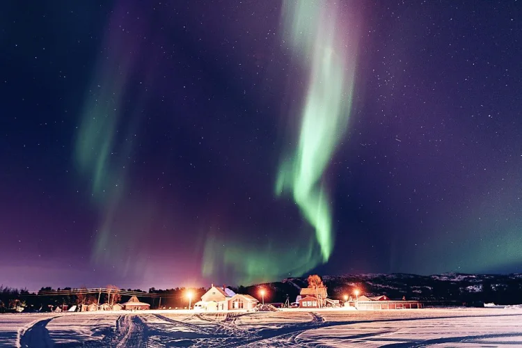 Holmen Husky Lodge