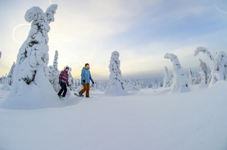 Iso-Syöte Schneeschuhwanderung