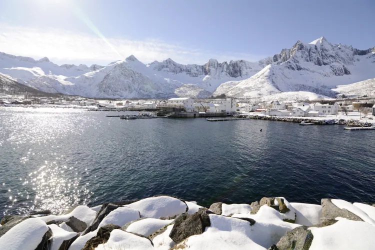 Mefjord Brygge