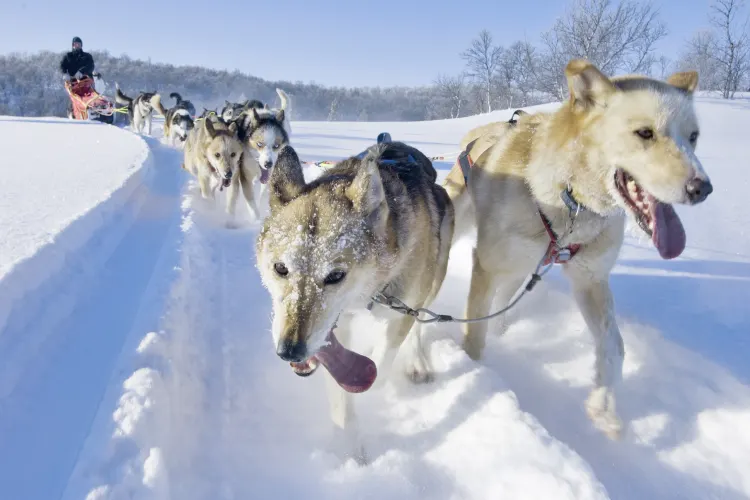 Aktivreise Winterträume aus Schnee & Eis