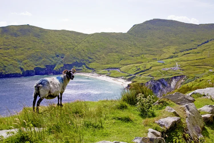 Achill Island