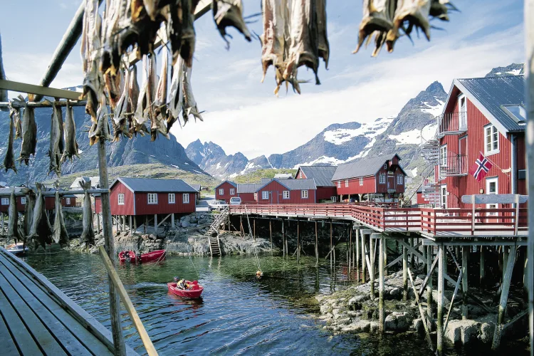 Stockfisch, Lofoten