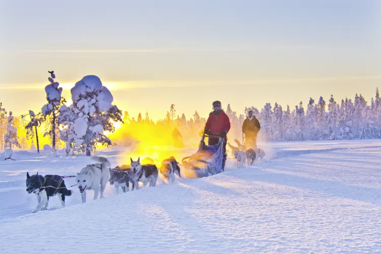 Huskysafari, Schwedisch Lappland