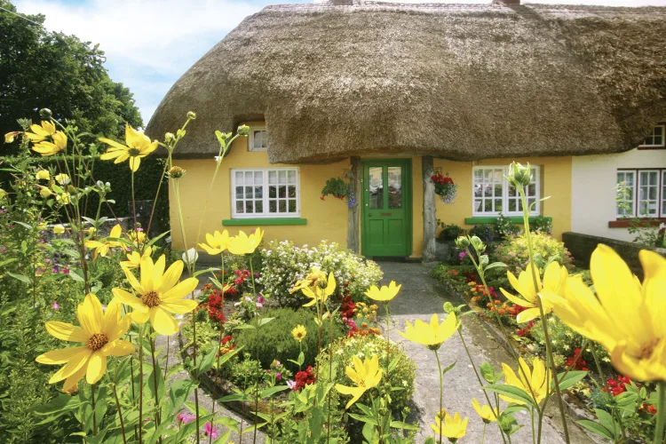 Adare, Limerick