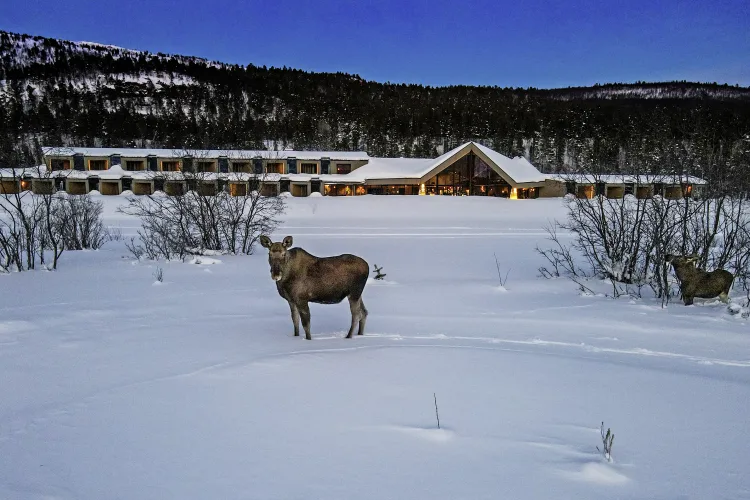 Arctic Wilderness Lodge