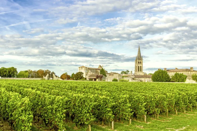 Weinberge von Saint Emilion