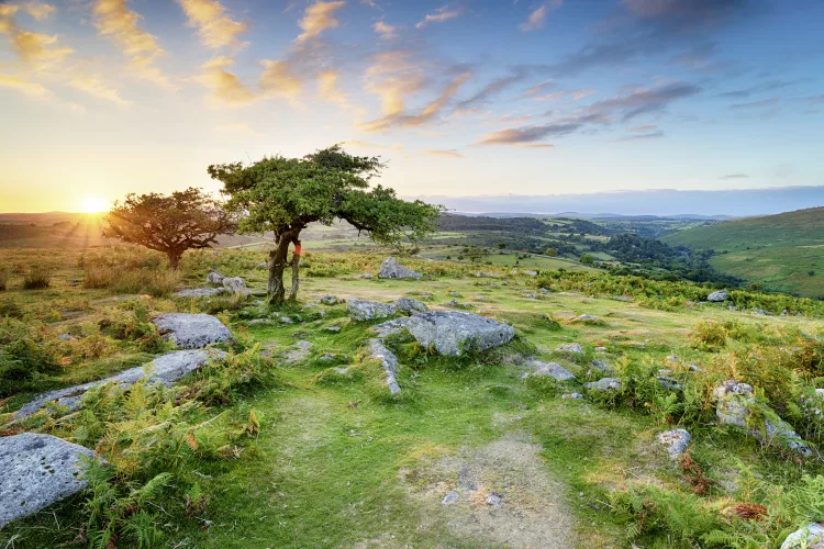 Dartmoor Nationalpark