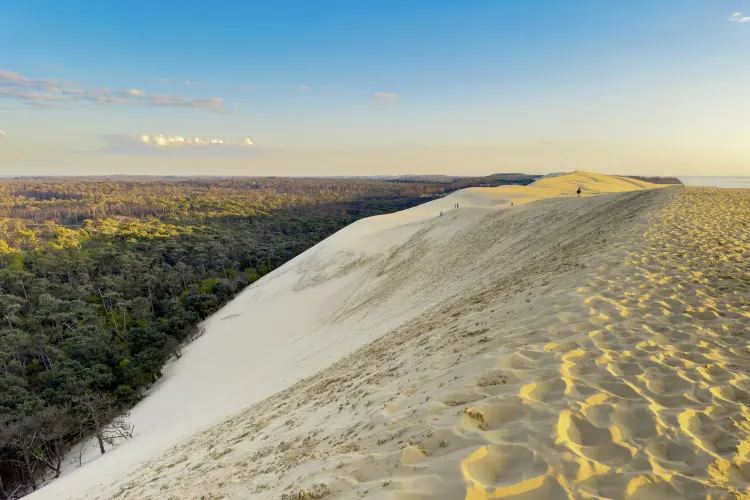 Dune du Pilat