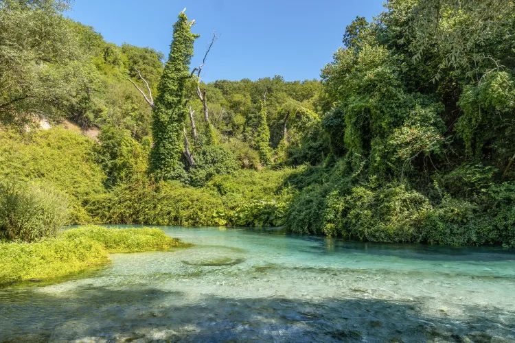 Blue Eye, Syri i kalter