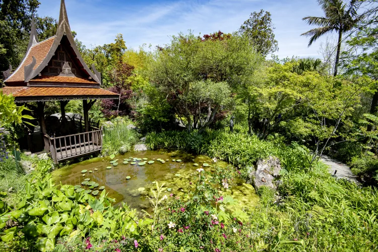 Mortella Gärten, Ischia