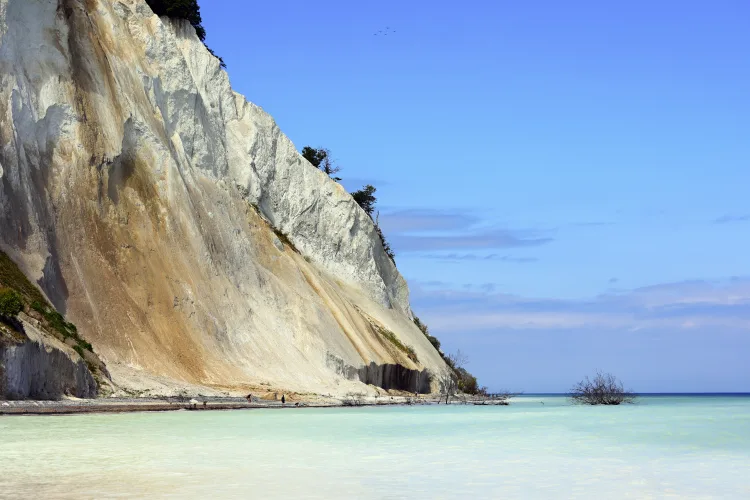 Kreidefelsen Møns Klint