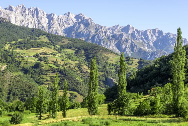 Picos de Europa
