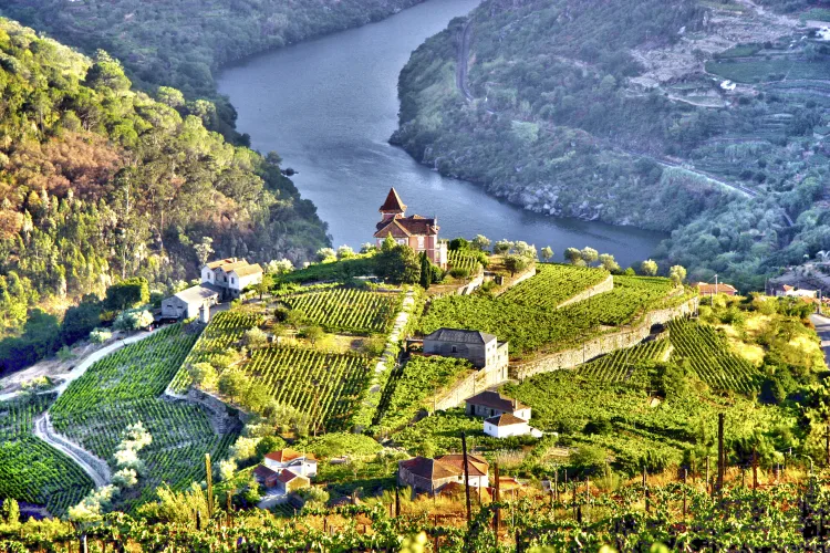 Douro-Tal