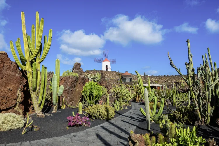Kaktusgarten, Lanzarote