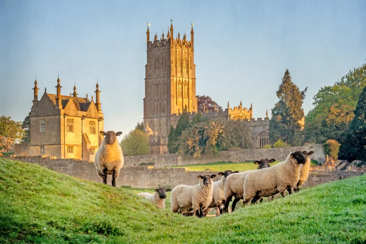Cotswold
