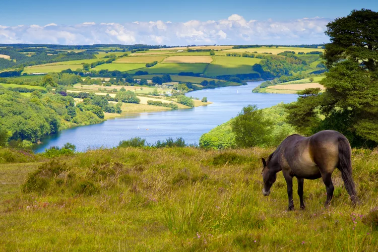 Exmoor National Park, Devon