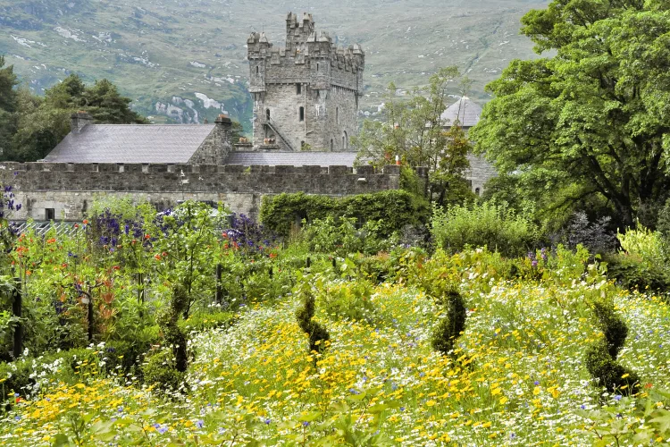 Gardens of Glenveagh Castle, Donegal