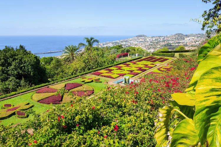 Botanischer Garten, Funchal