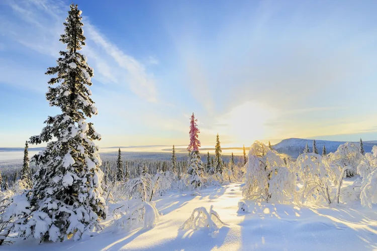 Schwedisch-Lappland