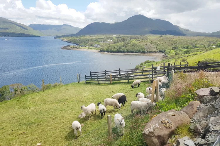 Killary Fjord