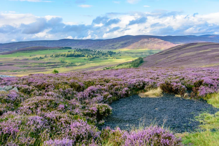 Cairngorms Nationalpark