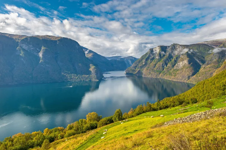 Sognefjord