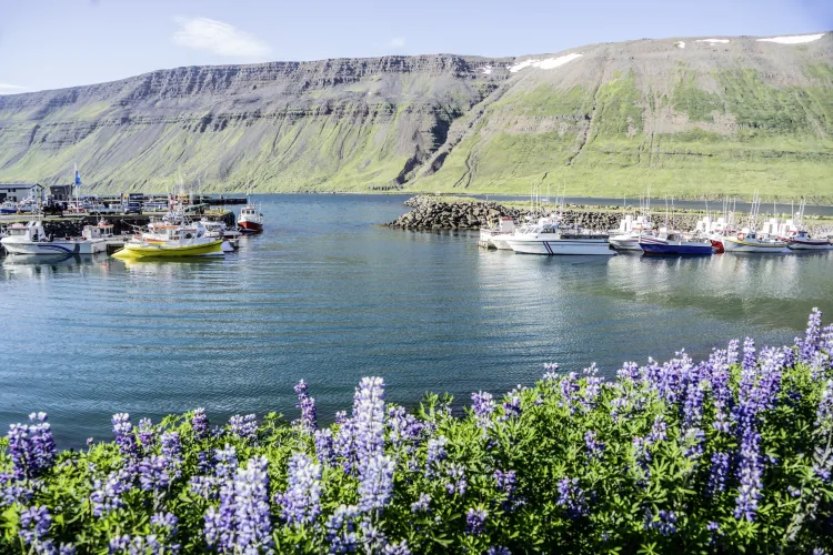 Isafjördur