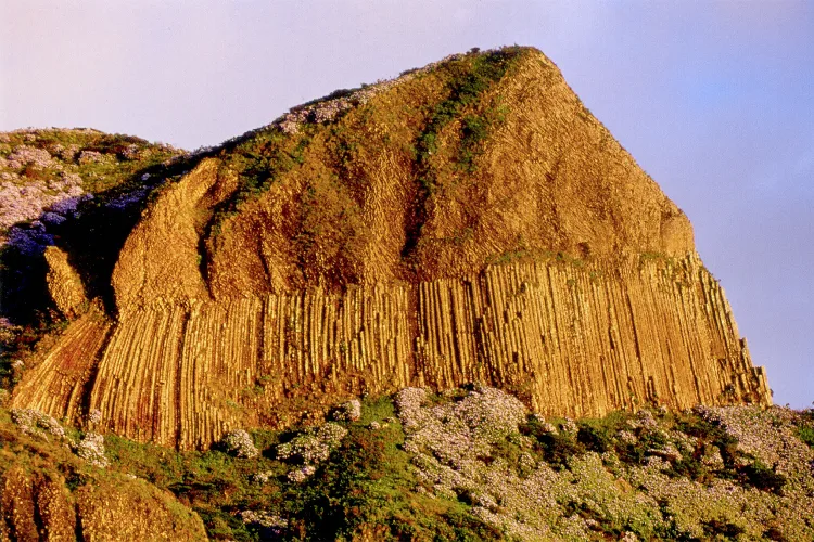 Flores, Rocha dos Bordões