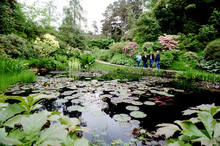 Inverewe Gardens