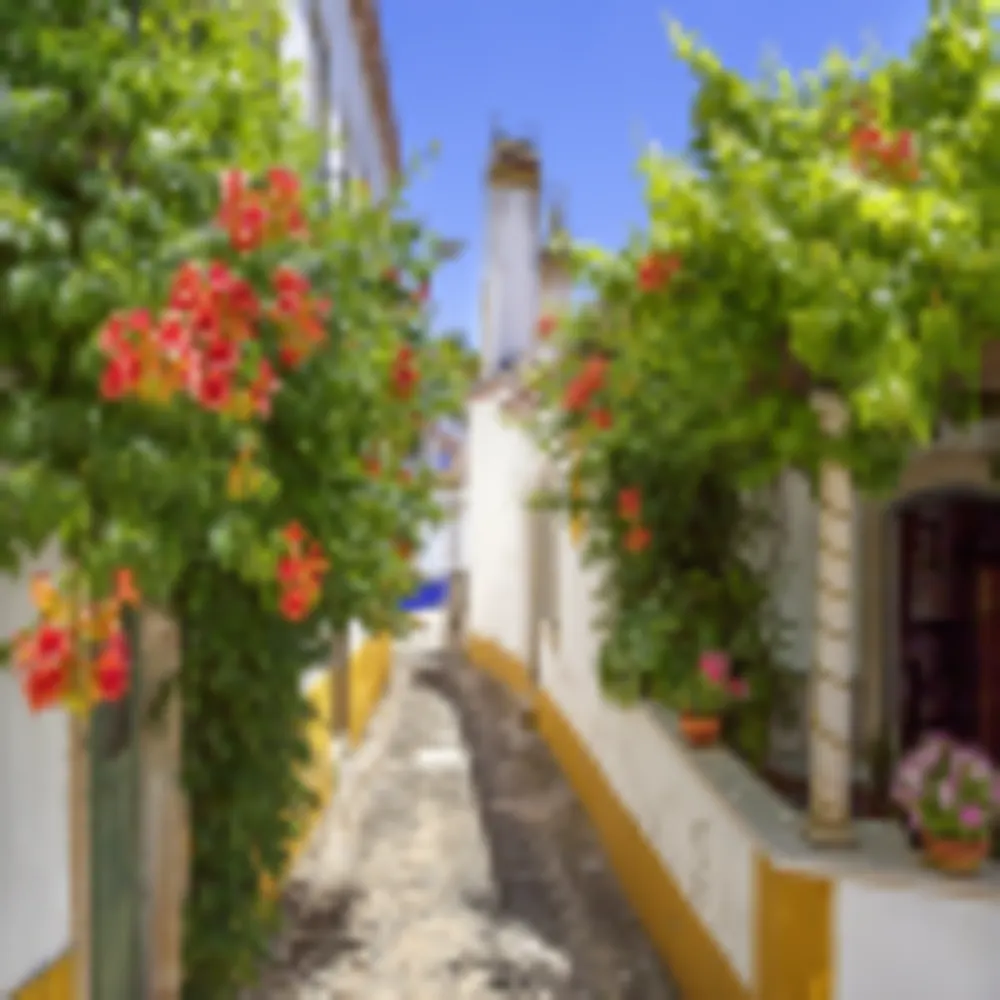 Óbidos