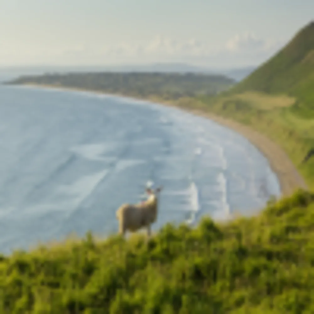 Gower Halbinsel