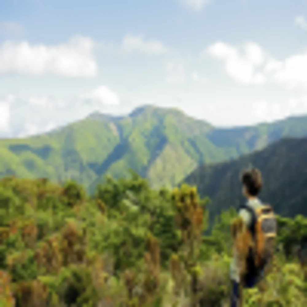 Pico da Vara Trail, São Miguel