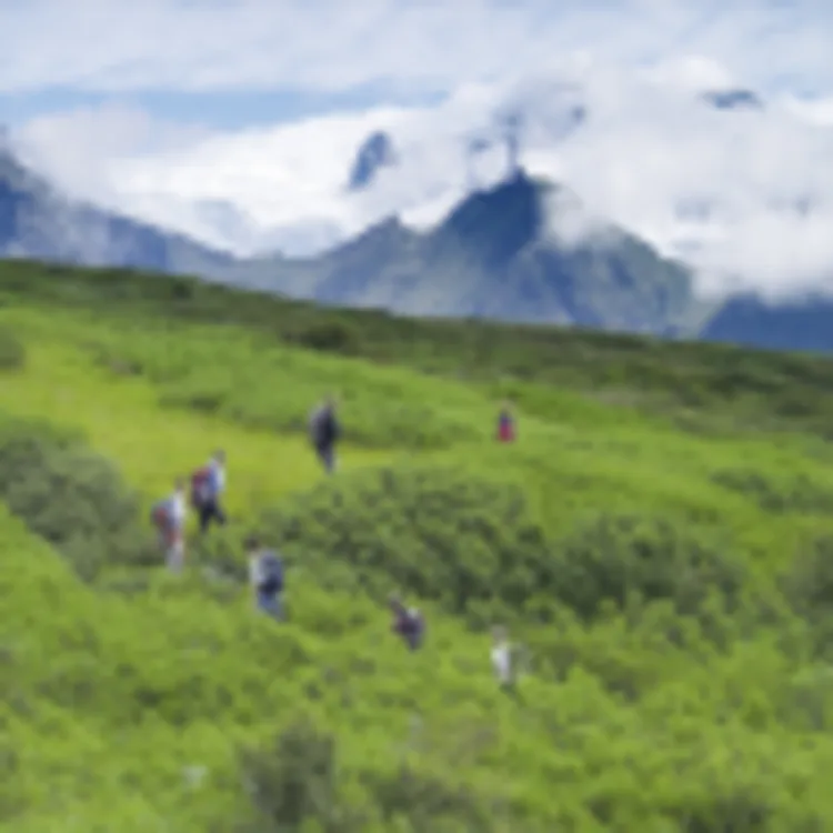 Wandern