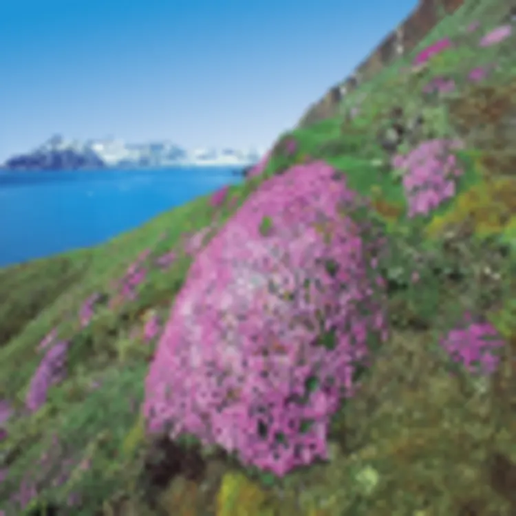 Spitzbergen