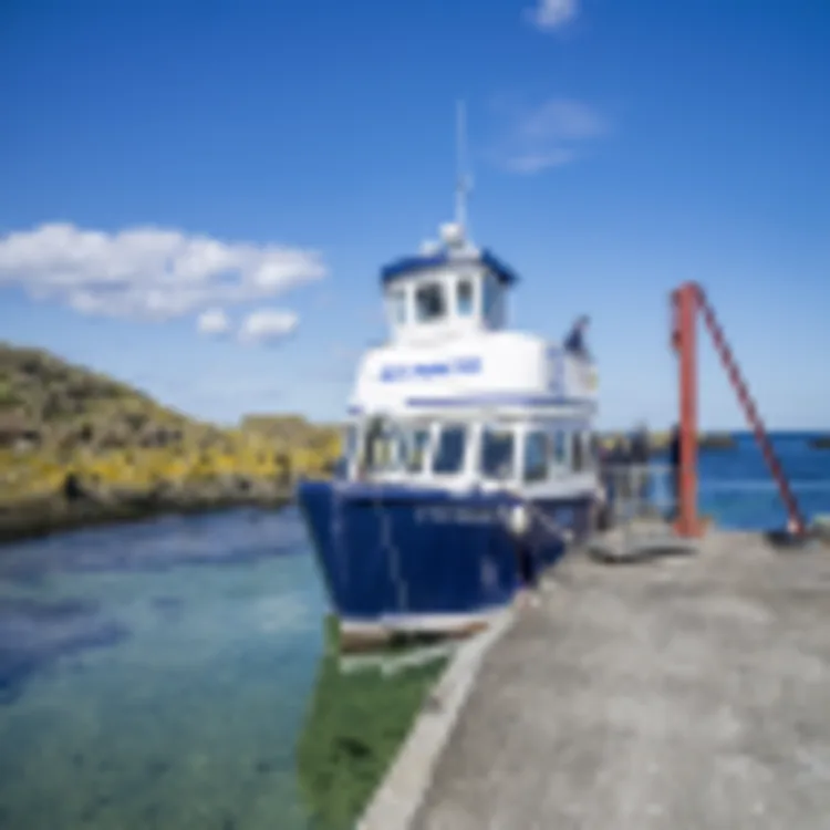 Isle of May
