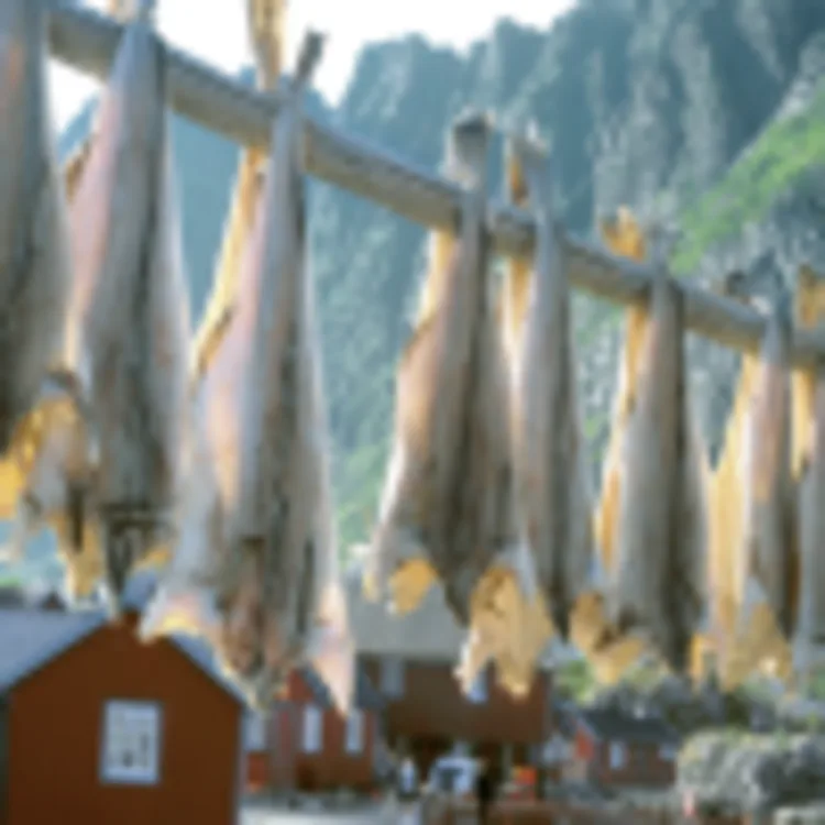 Stockfisch