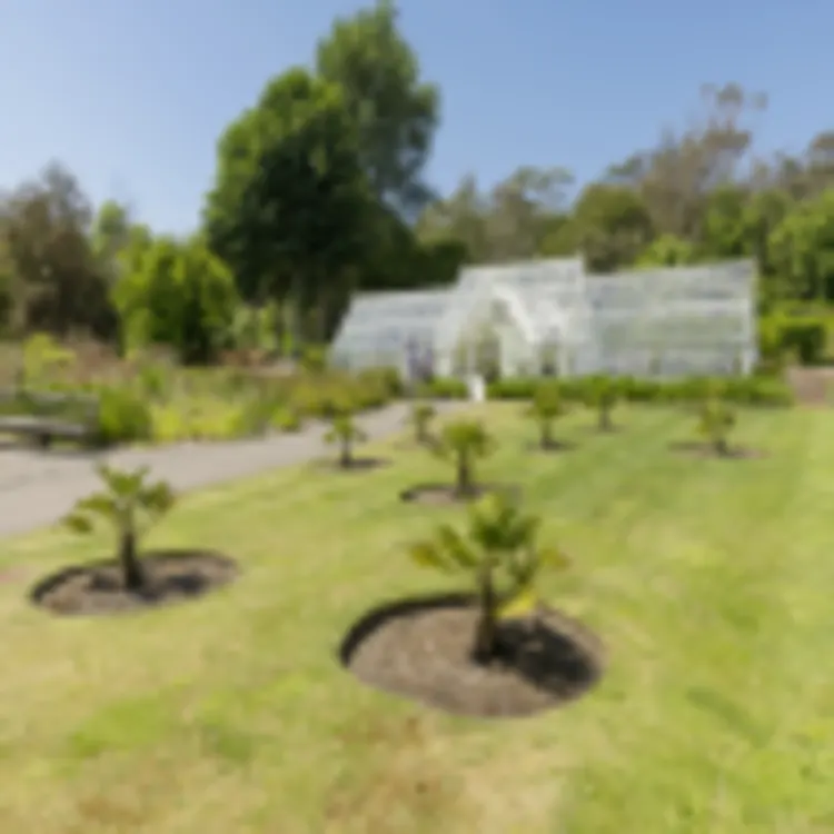 Logan Botanic Garden