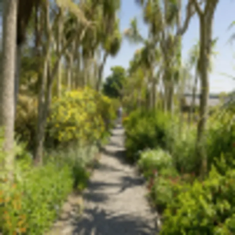 Logan Botanic Garden