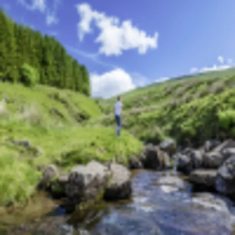 Brecon Beacons