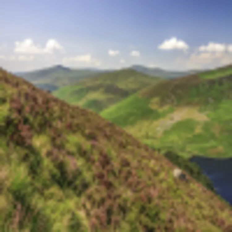 Sally Gap
