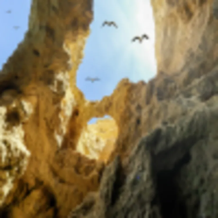 Ponta da Piedade