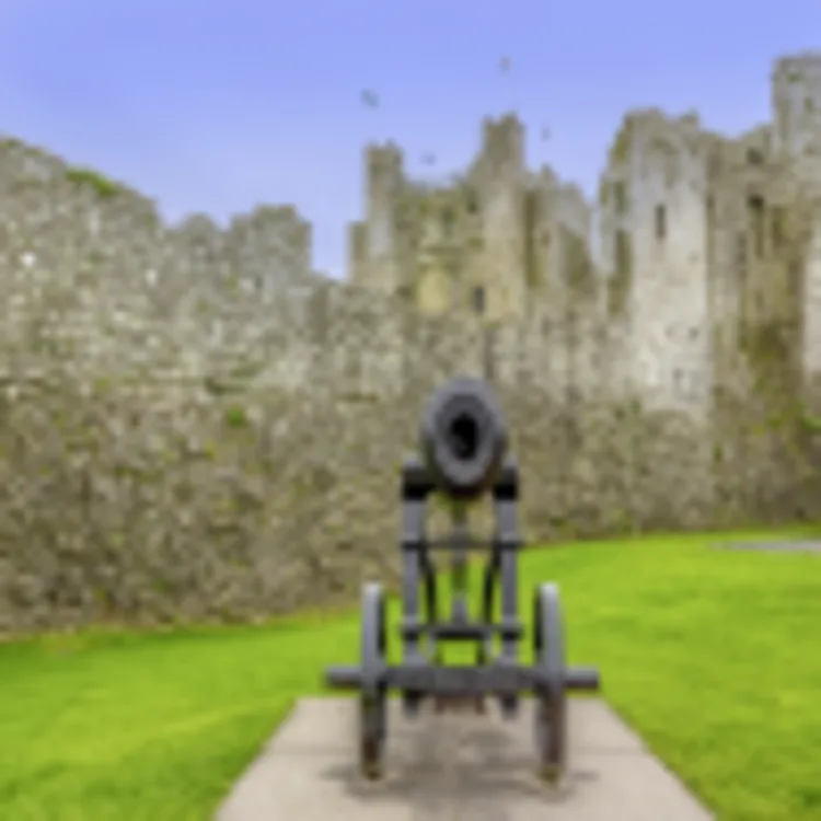 Trim Castle