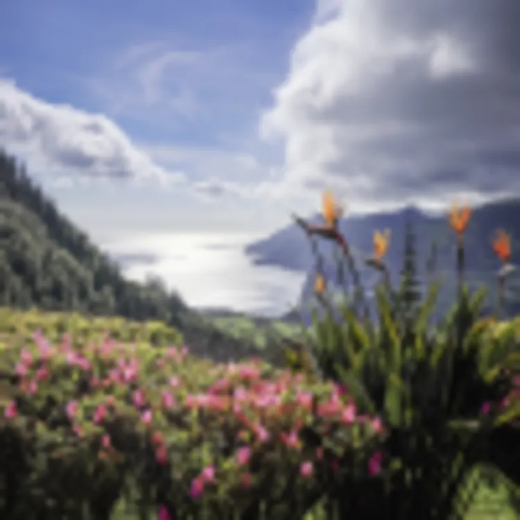 Sao Miguel