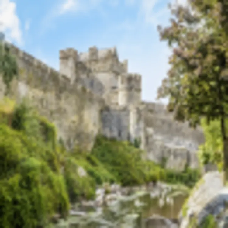 Cahir Castle