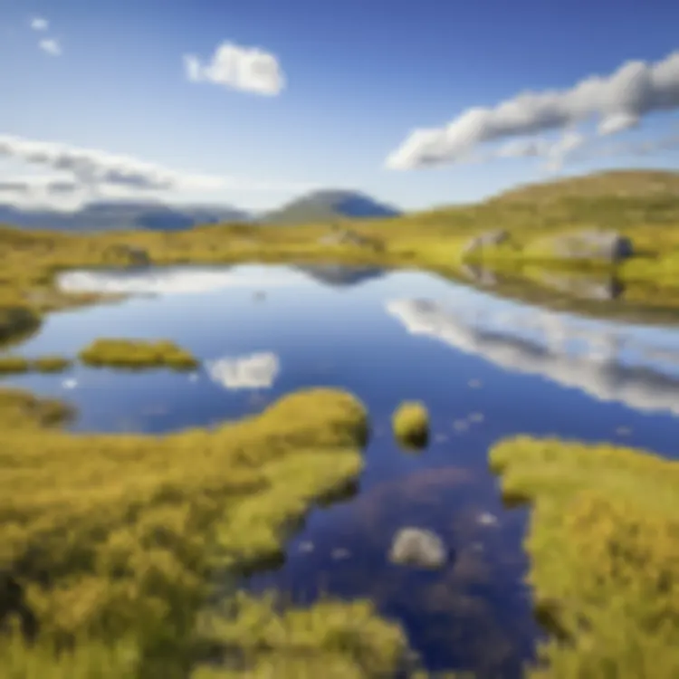 Dovrefjell Nationalpark