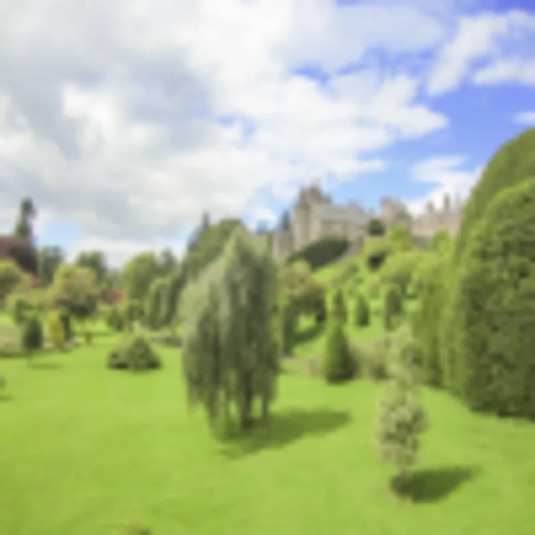 Drummond Gardens