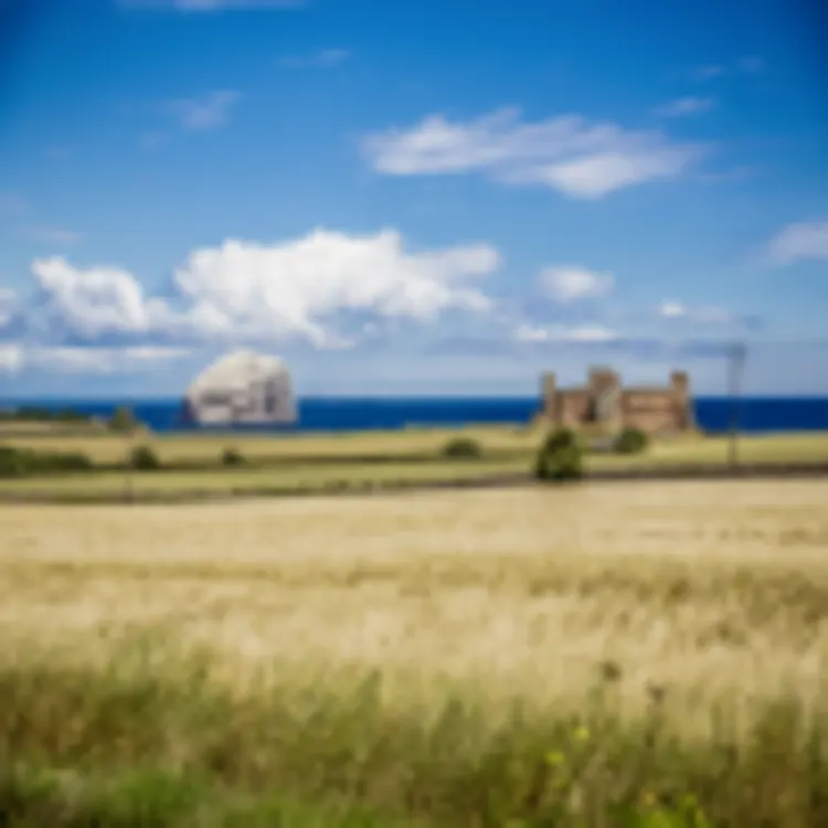 Bass Rock
