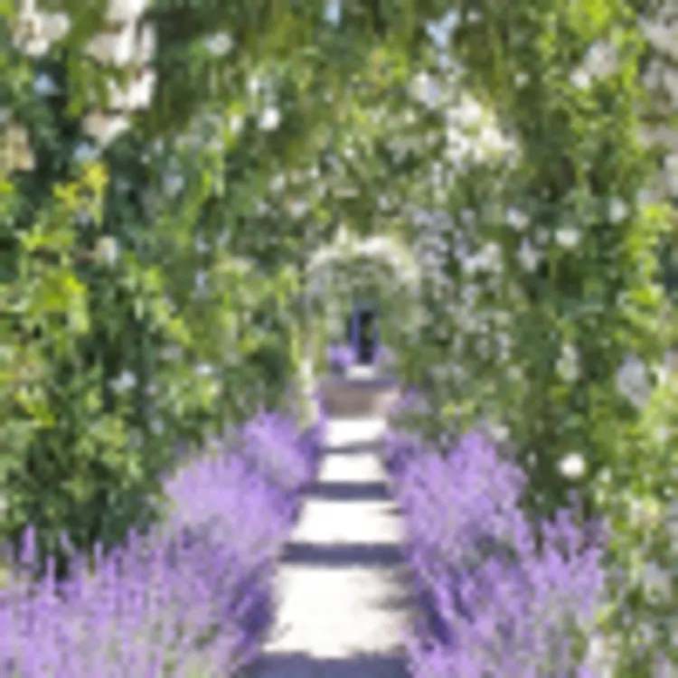 Schlossgarten
