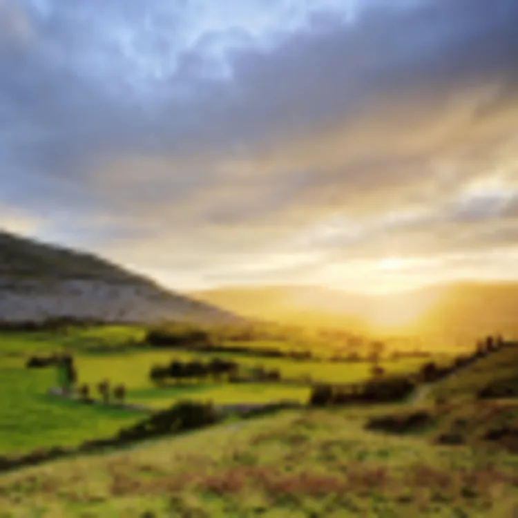 Oughtmama, Burren