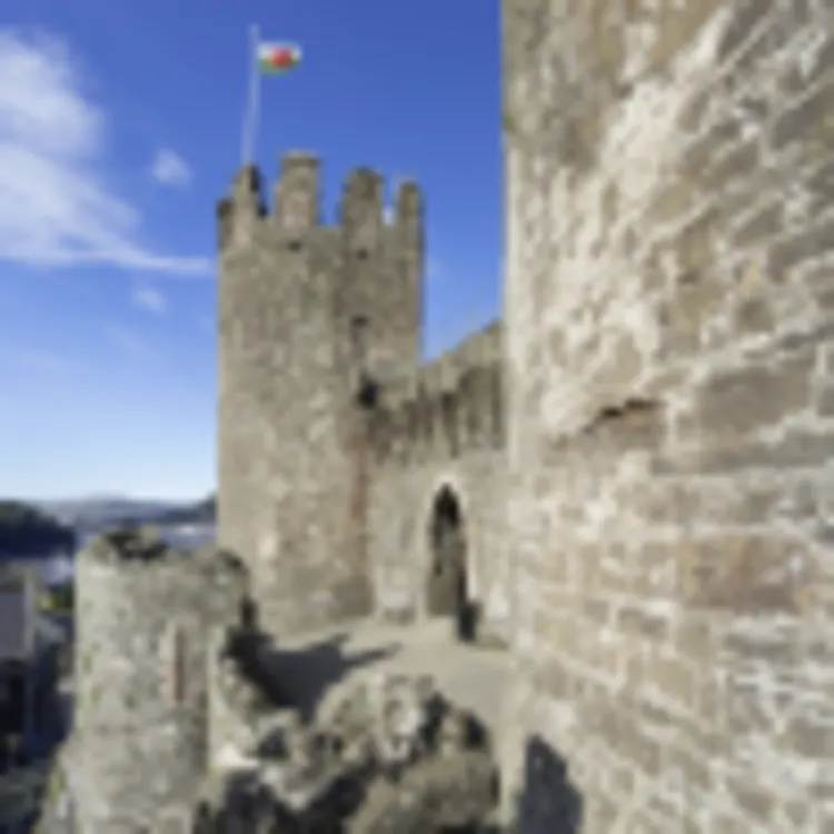 Conwy Castle